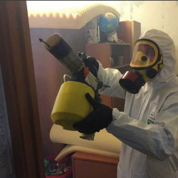 Уничтожение клопов в квартире. Малмыж
